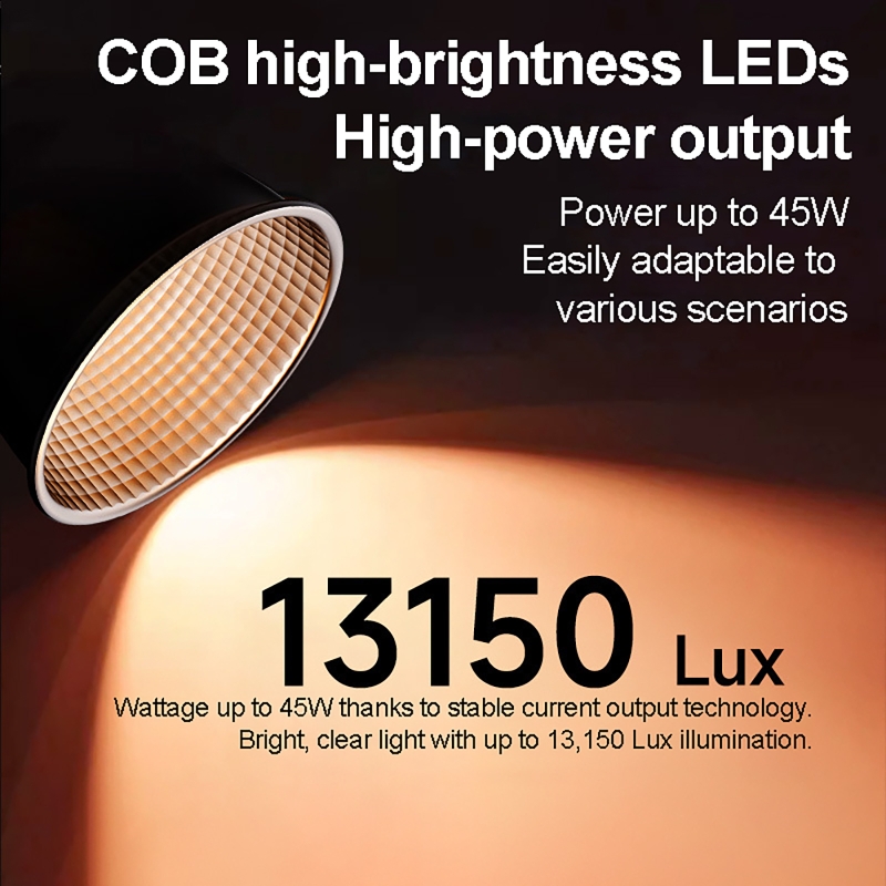 60W RGB Videoleuchte Tragbares – Lighting Gallery Bewertung und Preis